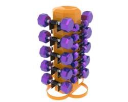 Weight tree with dumbbells isolated on background. 3d rendering - illustration png
