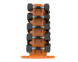 Weight tree with dumbbells isolated on background. 3d rendering - illustration png