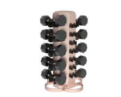 Weight tree with dumbbells isolated on background. 3d rendering - illustration png
