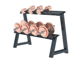 Dumbbells on rack isolated on background. 3d rendering - illustration png