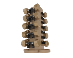 Weight tree with dumbbells isolated on background. 3d rendering - illustration png
