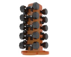Weight tree with dumbbells isolated on background. 3d rendering - illustration png
