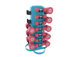 Weight tree with dumbbells isolated on background. 3d rendering - illustration png
