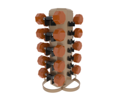 Weight tree with dumbbells isolated on background. 3d rendering - illustration png