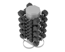 Weight tree with dumbbells isolated on background. 3d rendering - illustration png