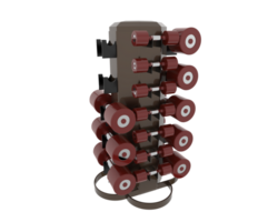 Weight tree with dumbbells isolated on background. 3d rendering - illustration png