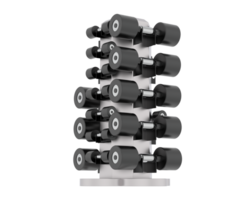 Weight tree with dumbbells isolated on background. 3d rendering - illustration png