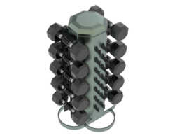 Weight tree with dumbbells isolated on background. 3d rendering - illustration png