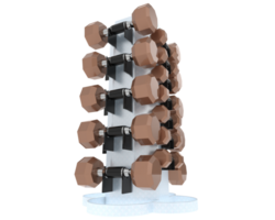 Weight tree with dumbbells isolated on background. 3d rendering - illustration png