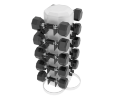 Weight tree with dumbbells isolated on background. 3d rendering - illustration png