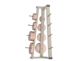 Weights on rack isolated on background. 3d rendering - illustration png