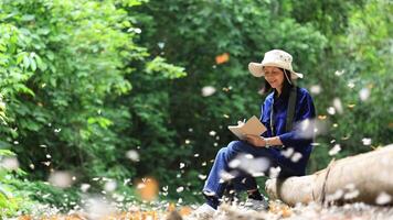 Asian biologist is collecting data in forest field study of mud puddling phenomenon butterflies sapping on salt and mineral during summer on mating season for tropical rainforest wild entomology video