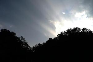 Silhouette wild and mountain with rays of sunlight spread in the sky photo