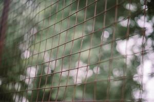 Iron wire fence providing security and boundary photo