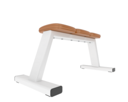 Gym bench isolated on background. 3d rendering - illustration png