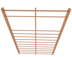 Gymnastics wall bars isolated on background. 3d rendering - illustration png