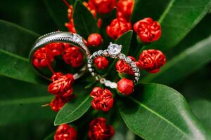 Amongst the vibrant red blossoms, the wedding ring rests, a symbol of enduring passion photo