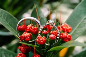 Amongst the vibrant red blossoms, the wedding ring rests, a symbol of enduring passion photo