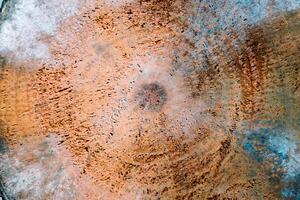Remnants of a mighty tree's trunk, revealing the passage of time and the resilience of nature's enduring legacy. photo