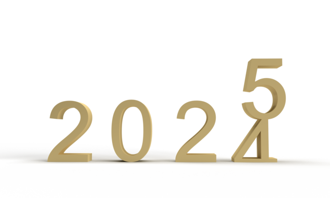本日発送可！新政 No.6 NewYear-type 2024-2025 本日発送可！新政 No.6 NewYear-type 2024-2025