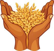 Farmer's hands with grains of wheat vector