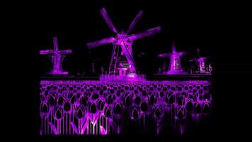 Neon frame effect iconic Dutch windmills and tulip fields Netherlands, glow, black background. video