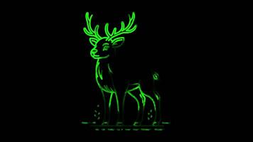 Neon frame effect reindeer, glow, black background. video