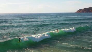 Drone view of surfers group riding on scenic vast ocean waves at summer video