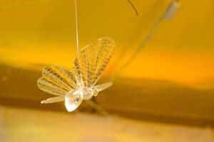 a clear plastic butterfly hanging from a string photo