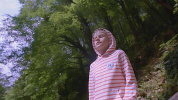 Boy walks in wild forest in summer. Creative. Boy enjoys and has fun walking in wild forest in summer. Summer hike with child in forest video