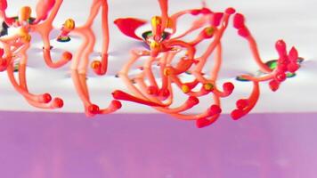 Beautiful bright flower under water. Stock footage. Flower in water on isolated background. Beautiful flower sinks into clear water video