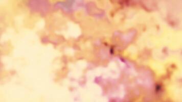 Delicate orange background.Motion.A bright background in abstraction that sparkles with different light white rays . video