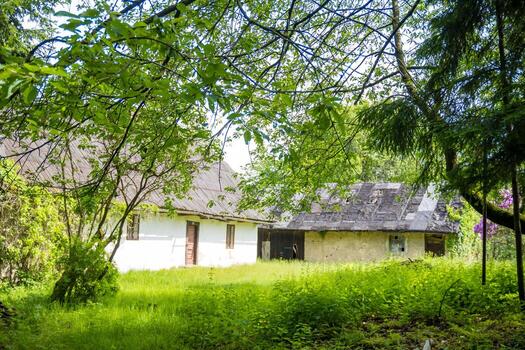 forestal casa en el medio de un primavera bosque en el checo república foto