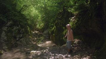 Boy walking in jungles among green forest and mountain river. Creative. Lush green trees and flowing cold river, child exploring wild nature. video