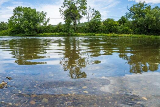 paisaje con montañas, bosque y un río en frente. hermosa escenario. checo foto