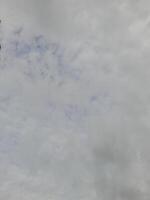 Beautiful grey clouds on sky background. Large bright soft fluffy clouds are cover the entire sky. photo