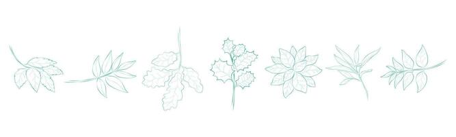 Leaf outline set that can be used in a variety of ways such as decorating cards, digital printing, fabric patterns, scrapbooking, paper patterns, sticker and more. vector