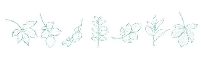 Leaf outline set that can be used in a variety of ways such as decorating cards, digital printing, fabric patterns, scrapbooking, paper patterns, sticker and more. vector