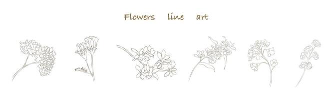 Flowers line art set that can be used in a variety of ways such as decorating cards, digital printing, fabric patterns, scrapbooking, paper patterns, element for design and more. vector
