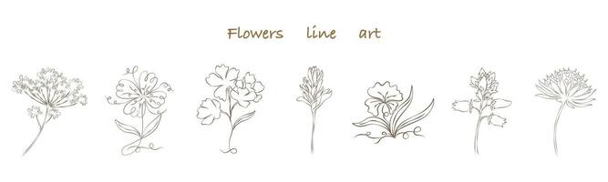 Flowers line art set that can be used in a variety of ways such as decorating cards, digital printing, fabric patterns, scrapbooking, paper patterns, element for design and more. vector