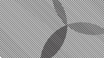 Abstract texture on white background. vector