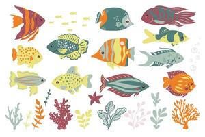 Set of cute oceanic fish isolated on a white background. graphics. vector