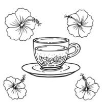 Set with glass cup tea, hibiscus. Hand drawn illustration in outline style. vector