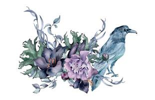 Gothic floral arrangement with crow drawn. Black lily, peony and leaves watercolor illustration isolated on white. Dark botanical decoration with flowers. Element for invitation, card, printing vector