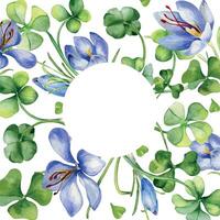 Circle frame with crocus and clover watercolor illustration isolated on white background. Painted spring flowers frame. Hand drawn Celtic symbol. Design element for St. Patrick day, Easter, package. vector