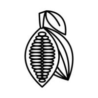 Cocoa icon, peeled cocoa icon monoline vector