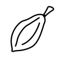 Cocoa fruit icon, cocoa line icon vector