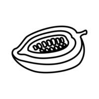Peeled cocoa fruit icon with cocoa beans. It can also a papaya icon vector