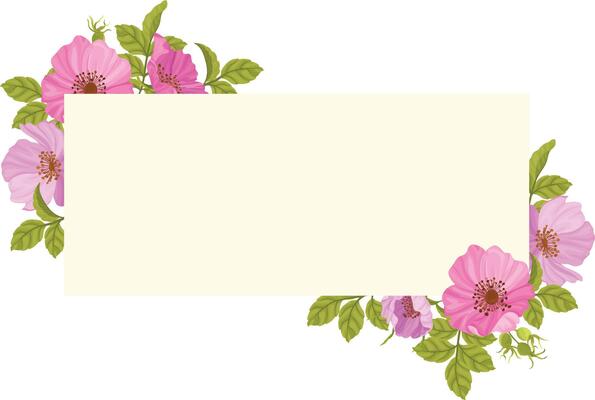 floral frames with beautiful wild roses, wedding frames, greetings, print designs and banners