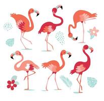 Set of pink flamingos. Exotic bird in different poses. Flamingos with beautiful pink wings. illustration vector